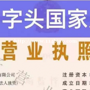 实力转让国家局中字头的科技公司中国开头公司